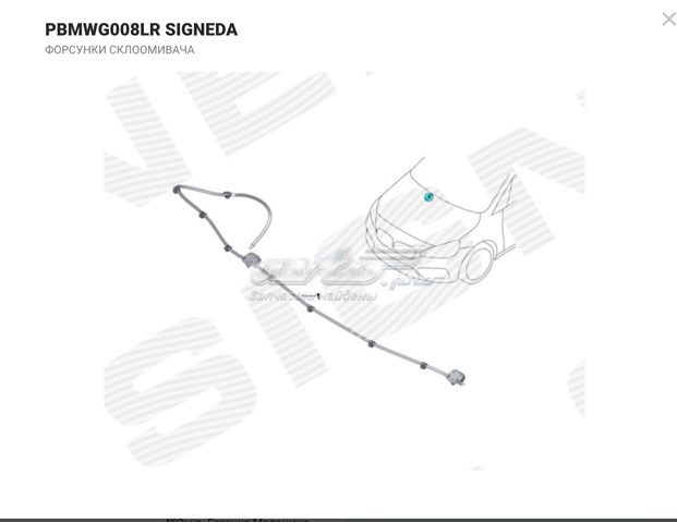 Форсунка омивача PBMWG008LR Signeda