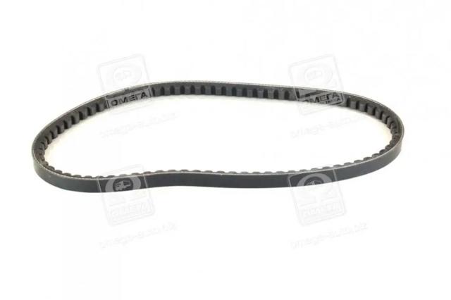 Купити 13A0800C Dayco Ремінь генератора