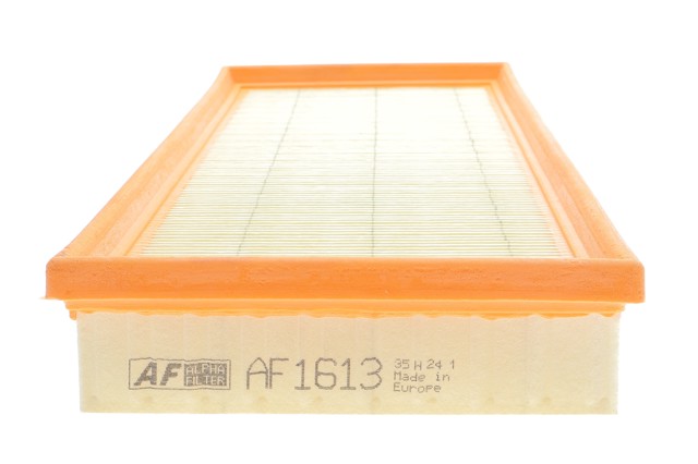 AF1613 Alpha Filter Повітряний фільтр двигуна