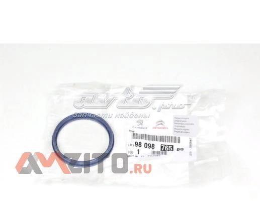 9809876580 Peugeot/Citroen Прокладка EGR-клапана рециркуляції
