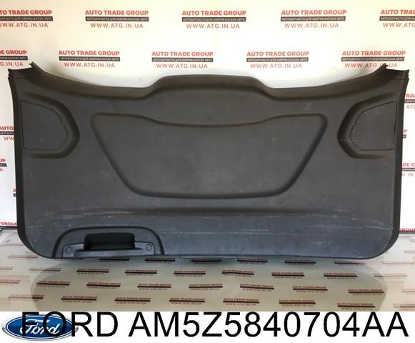 Ford AM5Z5840704AA