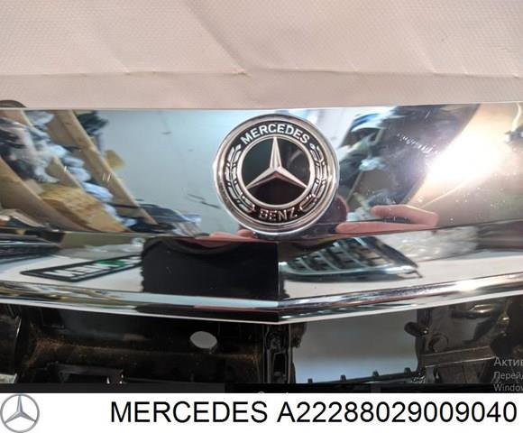Купити A2228806101 Mercedes 