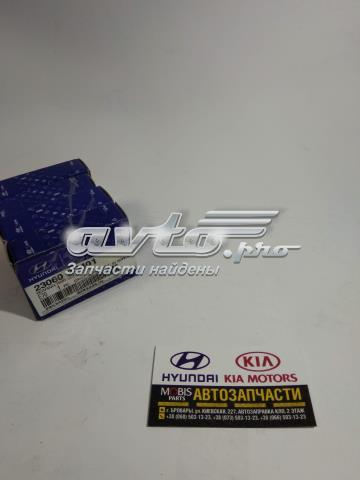 230602G401 AA Підшипник шатуна