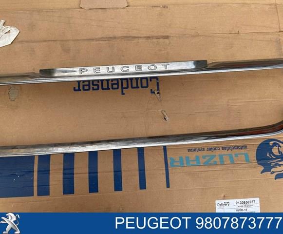 9807873777 Peugeot/Citroen 