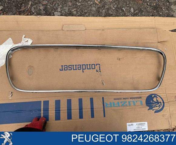 9824268377 Peugeot/Citroen 