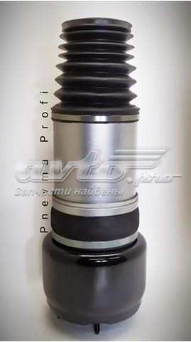 A2113206413 Mercedes Амортизатор передньої підвіски