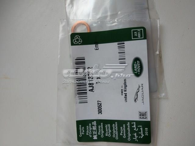 AJ813362 Jaguar 
