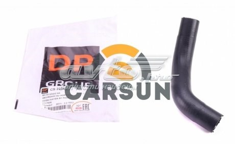  CS22583 DP Group