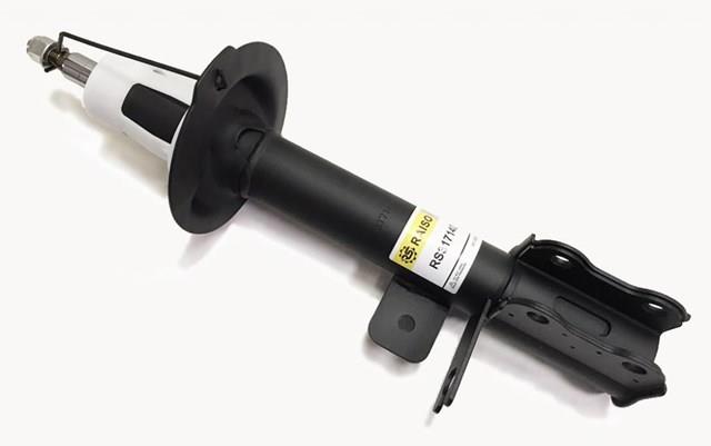 Амортизатор задній, правий Raiso RS317140 ціна, від 32.51 USD