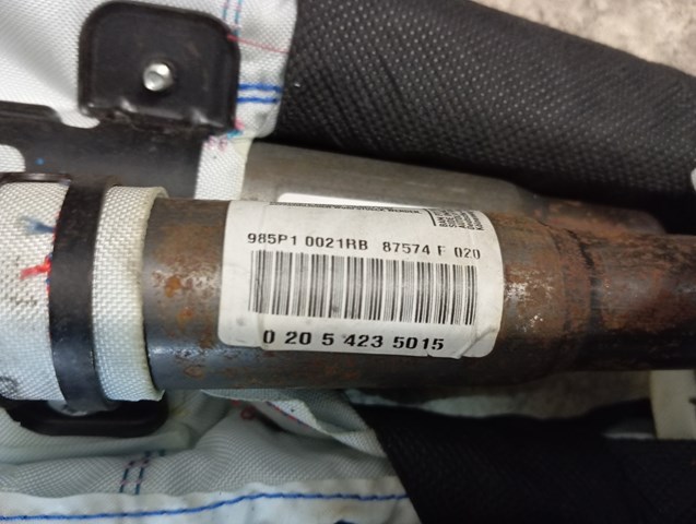 Купити 985P10021RB Renault (RVI) 
