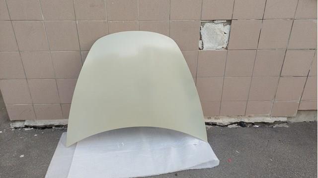Капот Signeda PTS20001A