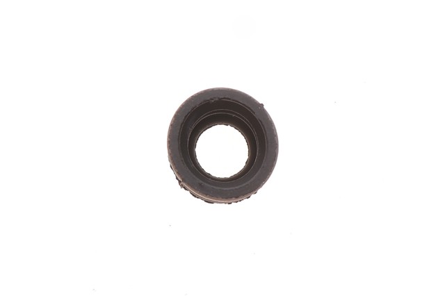 BG0174 Belgum 