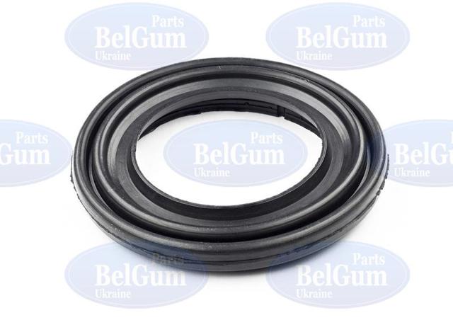 Купити BG0164 Belgum Ремкомплект переднього супорту