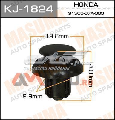 KJ1824 Masuma 
