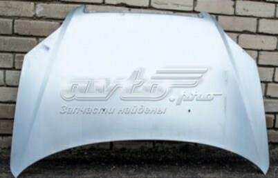 Капот SF69Y08402020 ZAZ