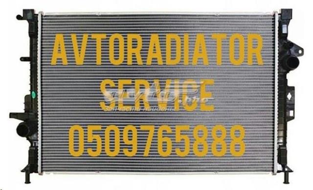 Купити RA13313 Signeda Радіатор двигуна