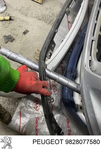 Купити 9828077580 Peugeot/Citroen 