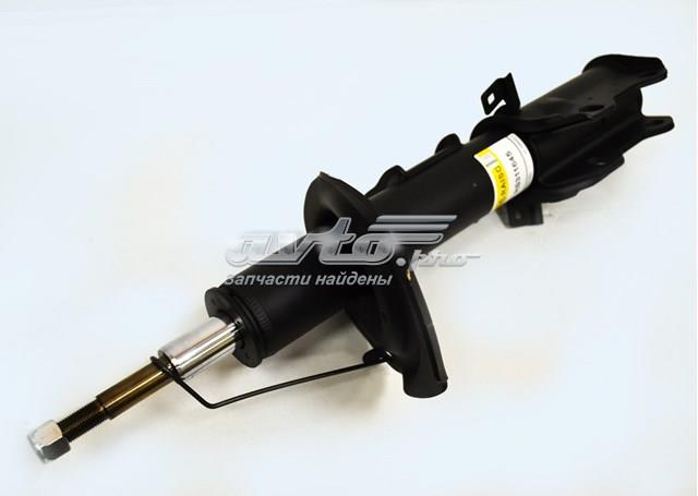 Амортизатори передні Raiso RS311645