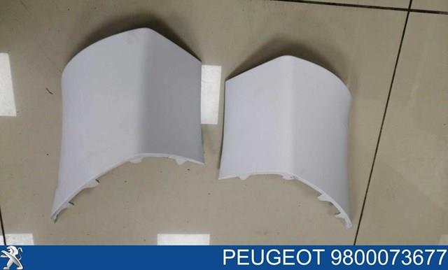 Купити 9800073777 Peugeot/Citroen 