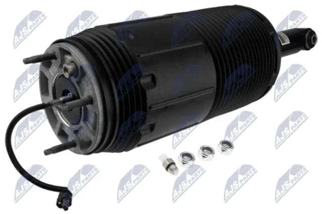 Амортизатор задній, правий NTY ACH099 ціна, від 551.45 USD