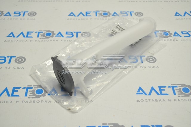 289155AA0A Nissan/Infiniti Горловина бачка омивача