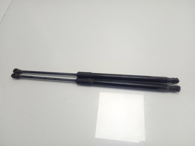 Амортизатор багажника 904508213R Renault (RVI)