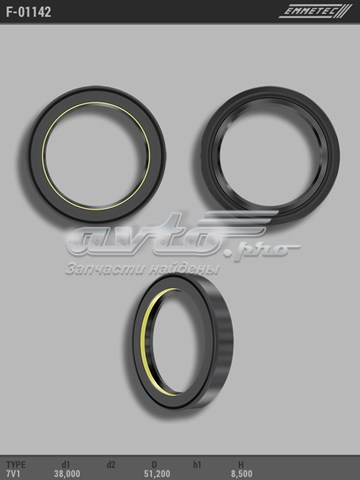  F01142 Emmetec