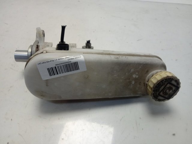 0204255096 Peugeot/Citroen 