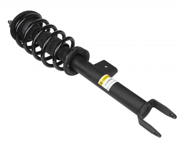 Амортизатор передній, правий Raiso RS436901 ціна, від 129.45 USD