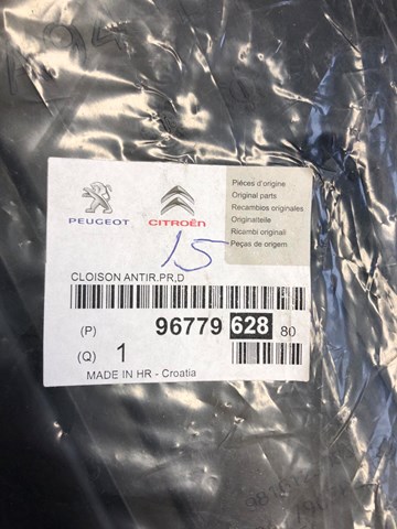 9677962880 Peugeot/Citroen 