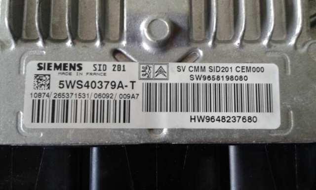 Купити 5WS40379AT Peugeot/Citroen 