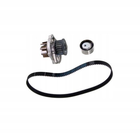 Ремкомплект ГРМ Fiat/Alfa/Lancia 6000629059