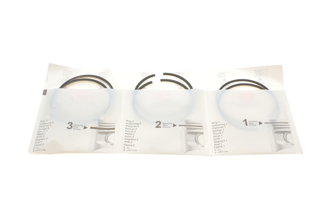  PRREN443841025SET AMP/Paradowscy