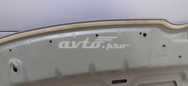 Капот Simyi SYCV009G002 ціна, від 144.86 USD
