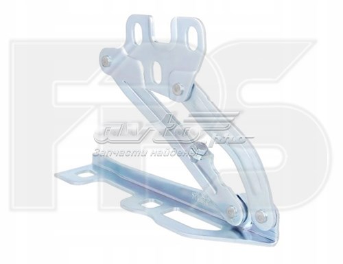  FPS FP5213285