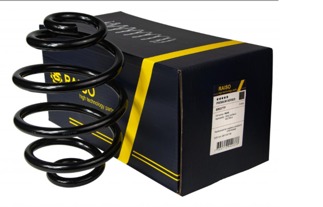 Пружина задня Raiso SR037TP ціна, від 13.43 USD