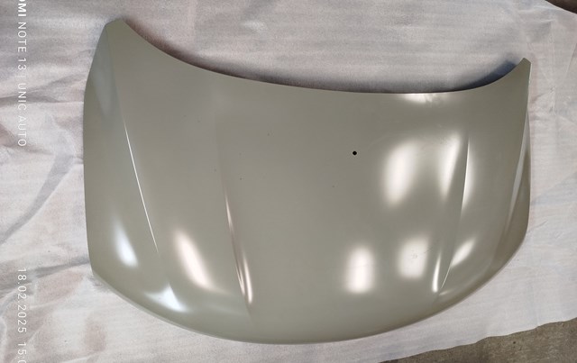651002162R Renault (RVI) Капот