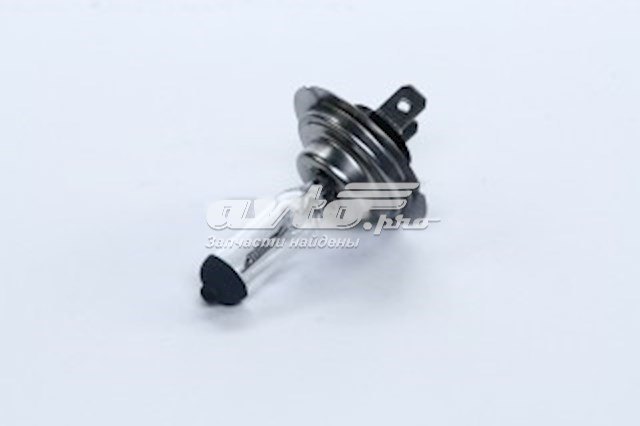 Купити H724V70W Tempest Лампочка галогенна