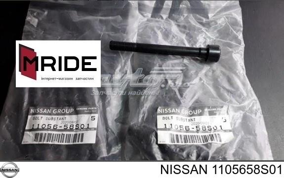  1105658S01 Nissan