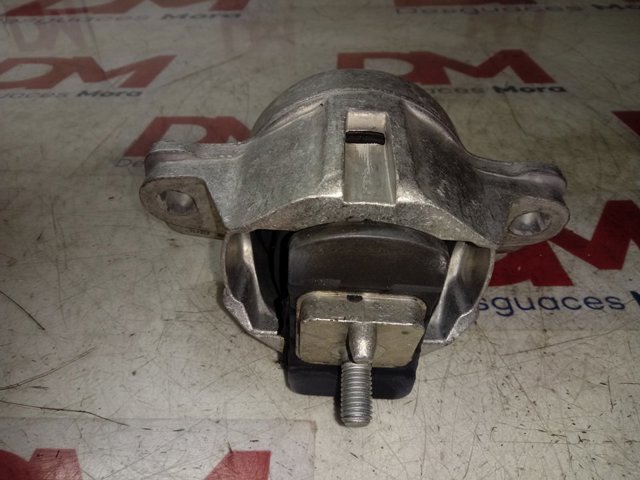  T4N29231 Jaguar