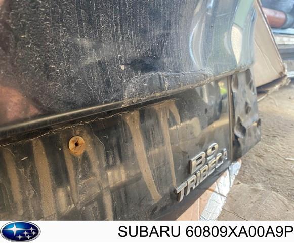 Купити Ляда Subaru Tribeca B9 