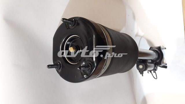 Амортизатори передні Bectep 1643206013