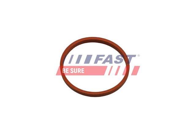 Кільце ущільнювача патрубка интеркуллера FT48932 Fast