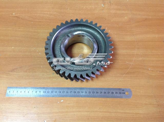  DK 2361701131