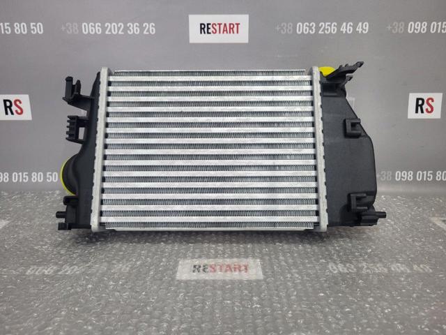 Система охолодження наддувочного повітря Polcar 27C1J81 ціна, від 84.36 USD