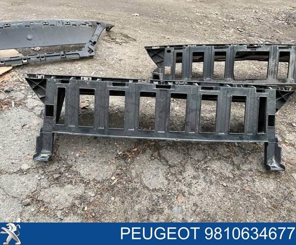 Peugeot/Citroen 9810634677