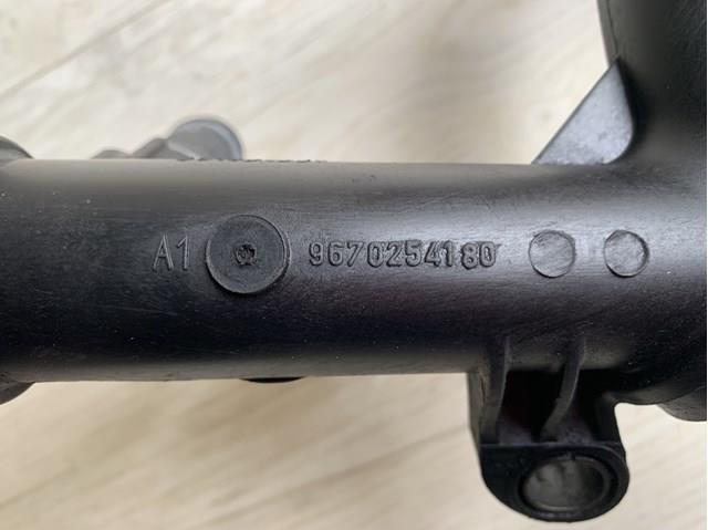 Купити 9660660580 Peugeot/Citroen 