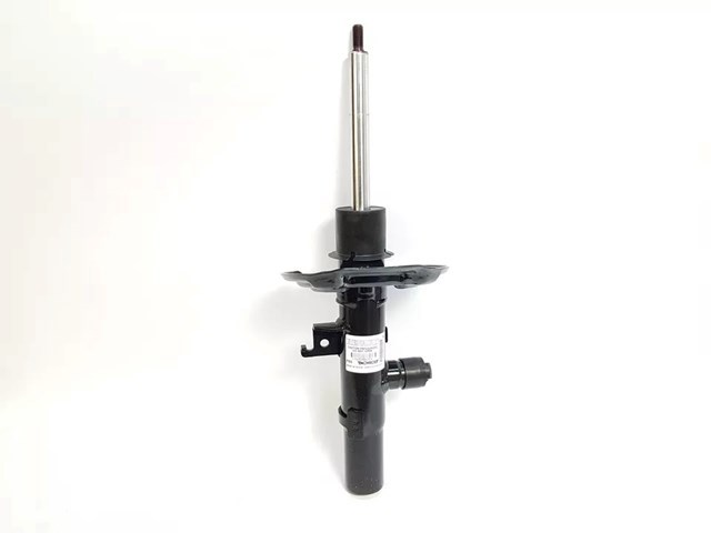 Амортизатори передні Renault (RVI) 543038400R