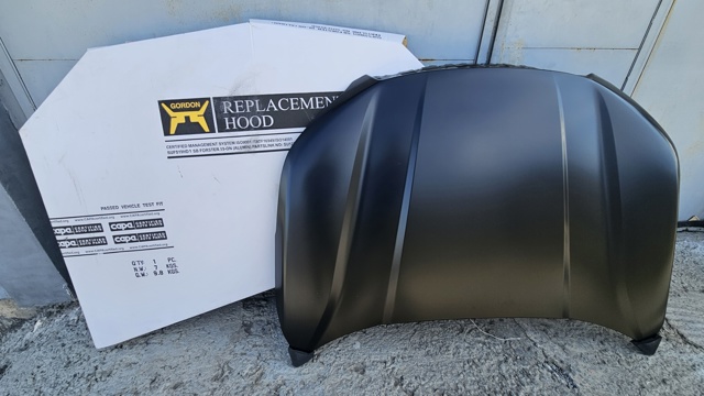 PSB20039A Signeda Капот
