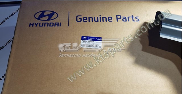 Крило заднє Hyundai/Kia 715032SC50 ціна, від 569.22 USD